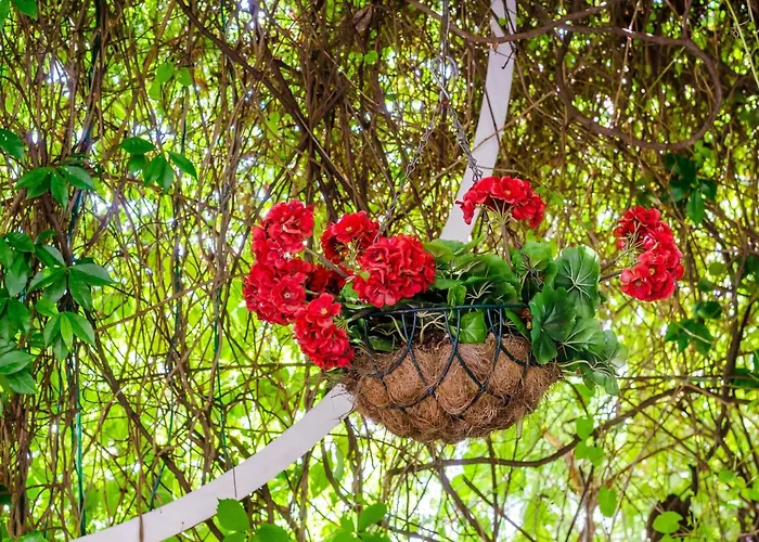 דירה Kalea - One Bedroom With Terrace A2 2 *