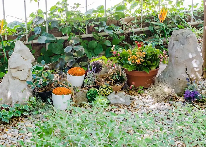 Kalea - One Bedroom With Terrace A2 2 *