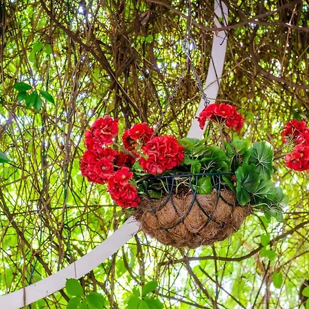 Apartamento Kalea - One Bedroom With Terrace A2 2 *