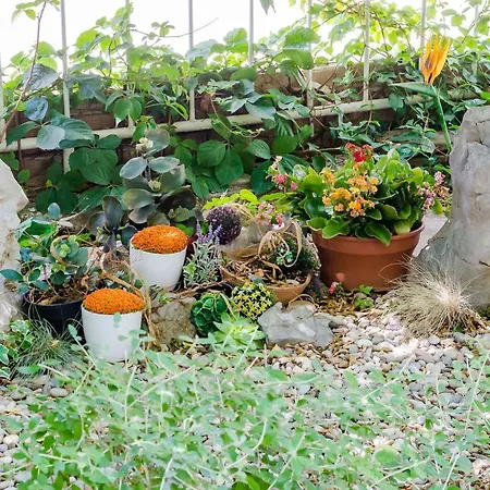 Kalea - One Bedroom With Terrace A2 2 *